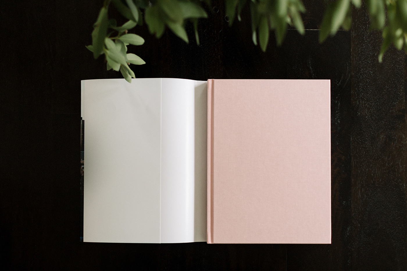 Cassidy Parker Smith Photography Coffee Table Book Courtney 8 5 X 11 200 Pages Pale Pink Orchidee Linen Cover Full Image Dustcover Printed By Artifact Uprising